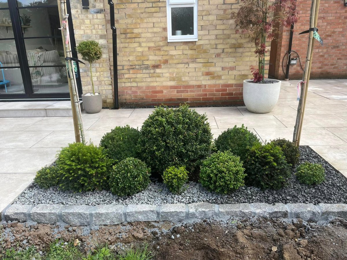Completed garden design with defined paved areas and planting